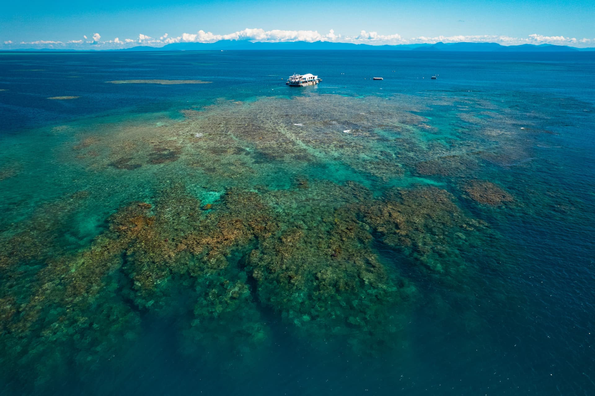 Great Barrier Reef Full-Day Pontoon Tour with Reef Magic from Cairns - image 8